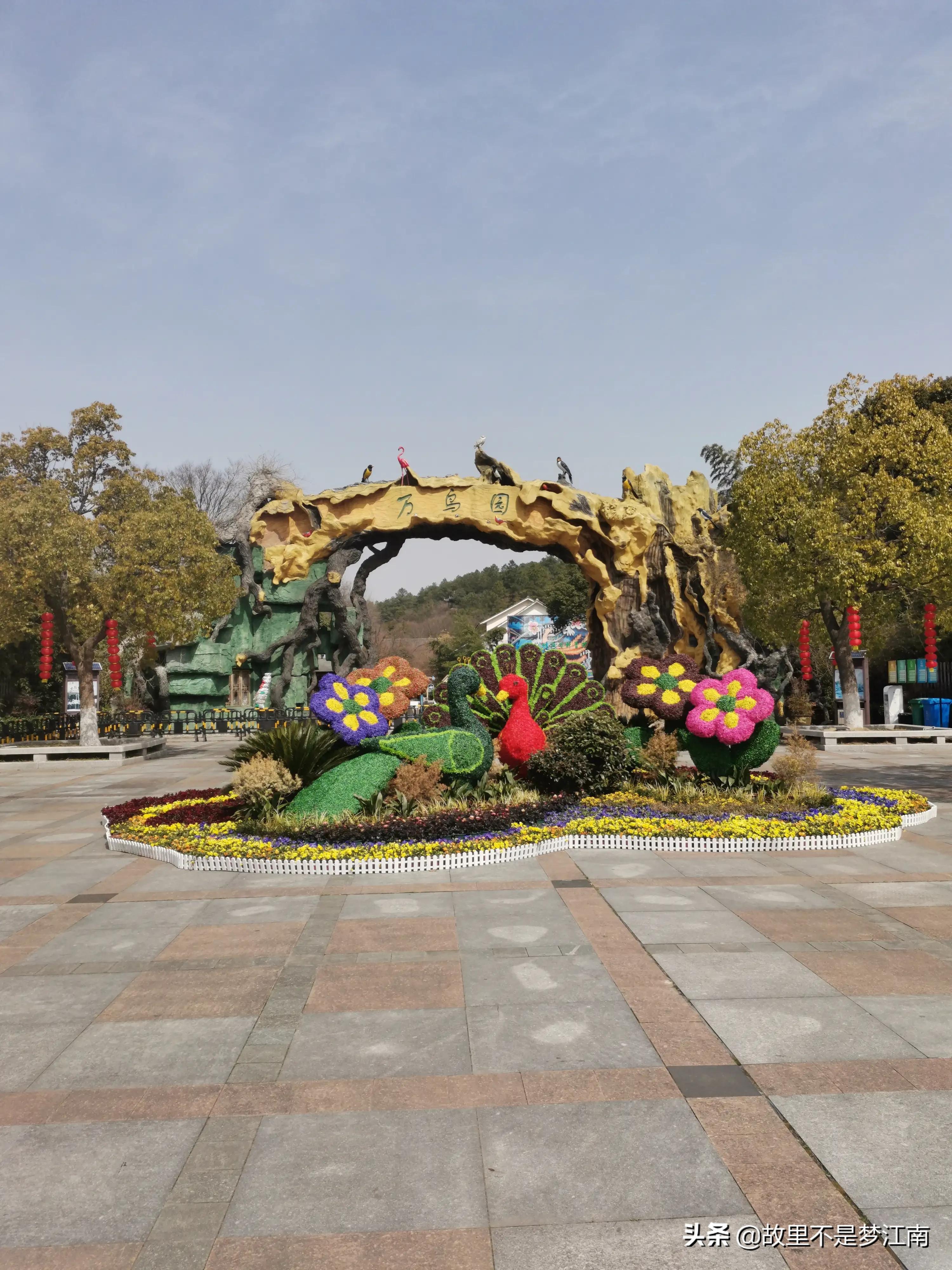 百鸟园儿童乐园,百鸟公园儿童乐园