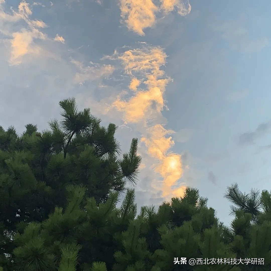 【“研”途风景|第6期】突然发现的瞬间