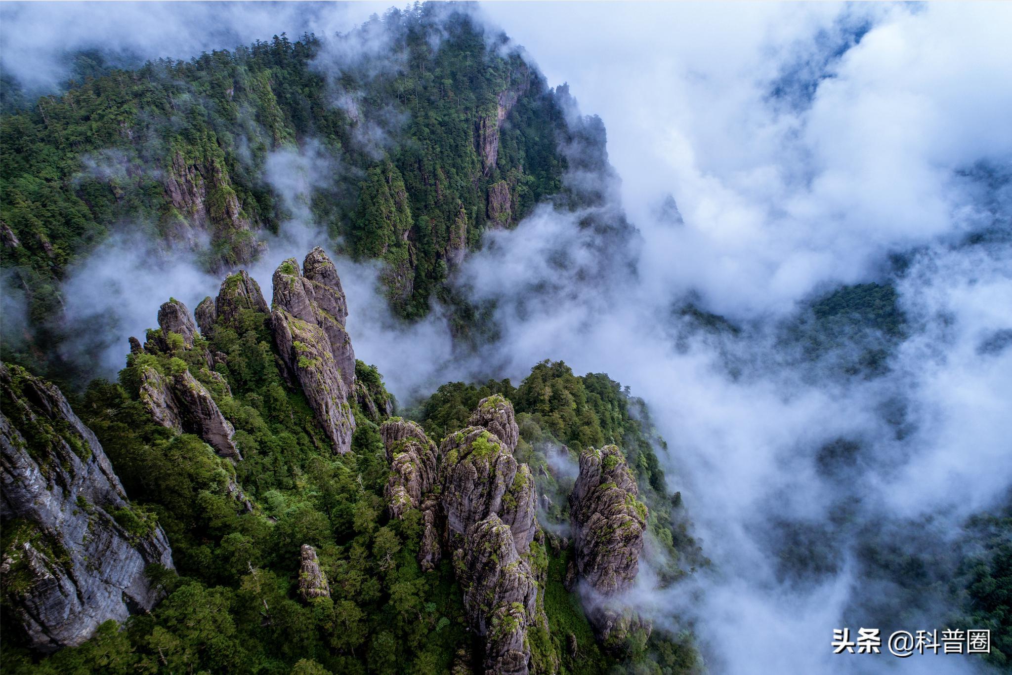 神农架深处为何被列为禁区进不去,神农架深处为何被列为禁区知乎