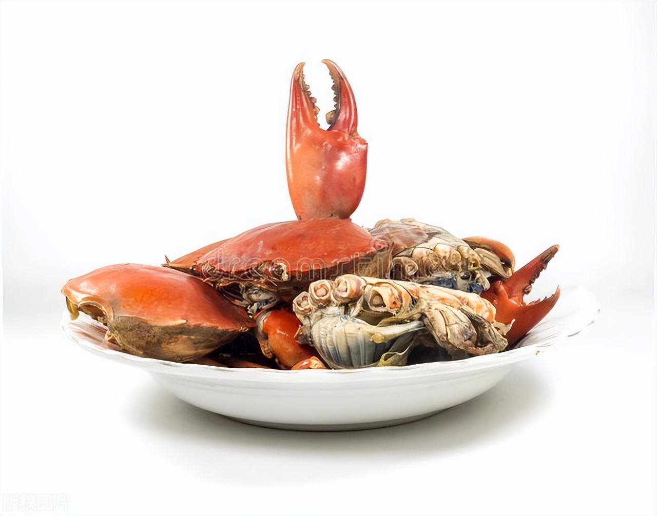 八月螃蟹要吃公的还是母的,公母螃蟹什么季节合适吃