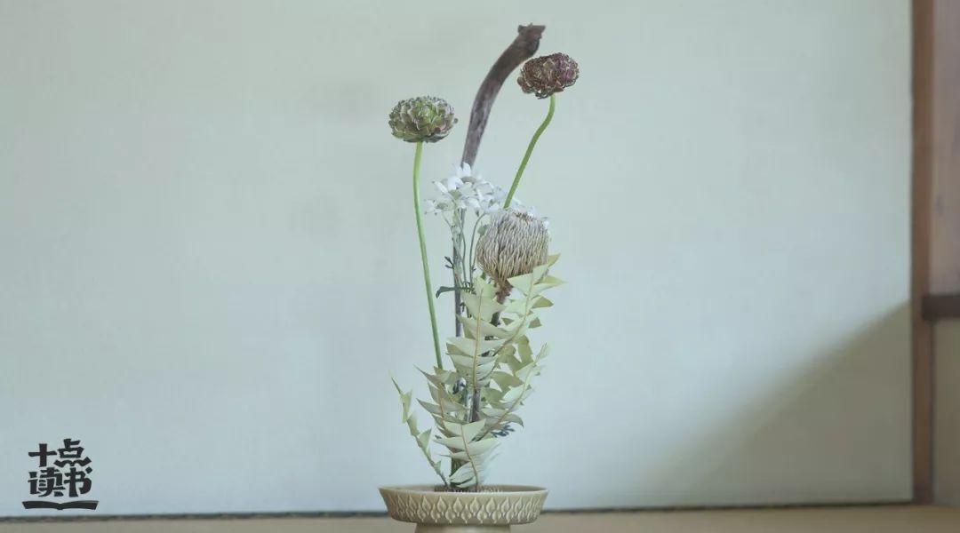 读懂余华第七天,看完余华的活着接下来看啥