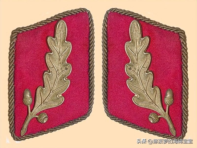 纳粹冲锋队用的什么枪,纳粹德军军衔图解