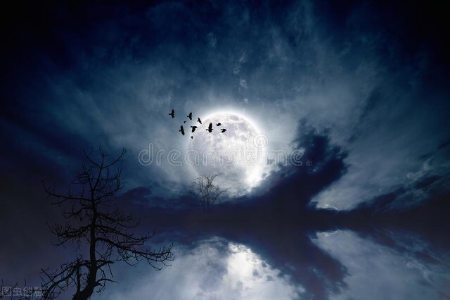 神秘的月夜,月夜的士兵恐怖片段