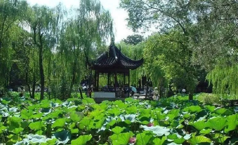 苏州自由行旅游团,苏州两日游旅游团从苏州出发