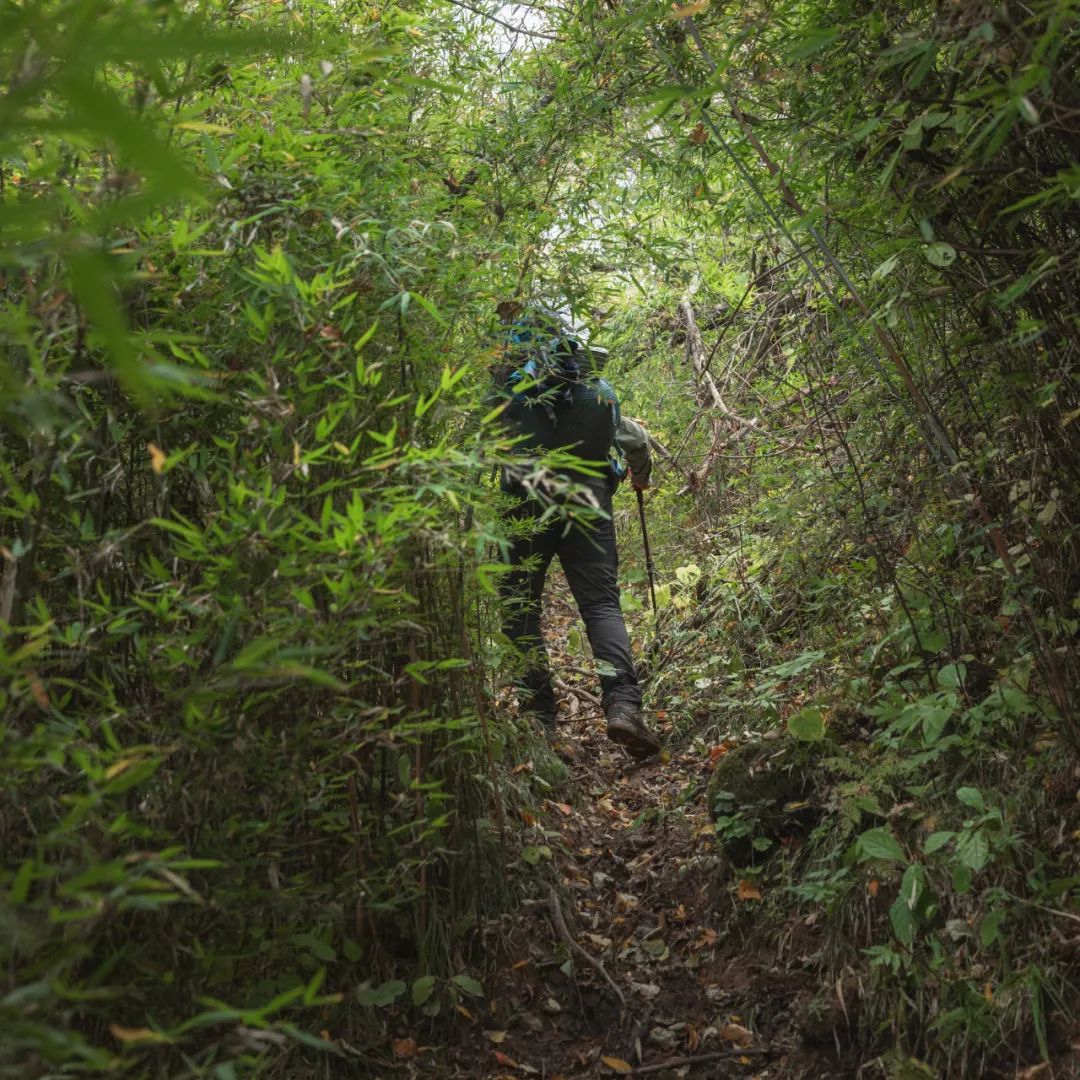 太白山是陕西最高点吗,秦岭最高峰太白山