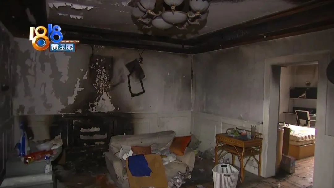 发生火灾小狗死亡,客厅着火原视频