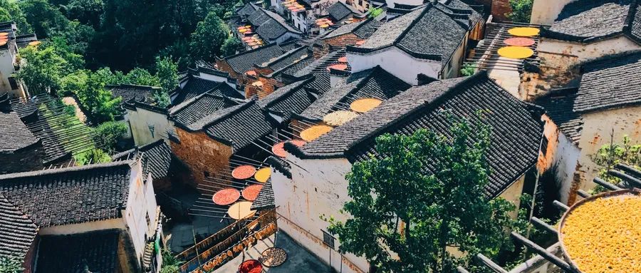 农业三产融合什么意思,农村三产融合与农业产业化的区别