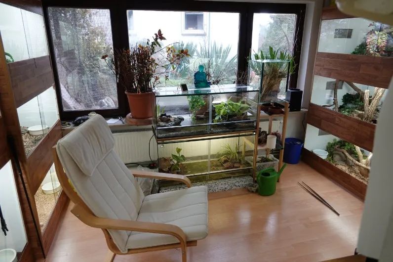 「原来欧洲有这么多种蛇？！」偷师卡塞尔的豢龙大师·下