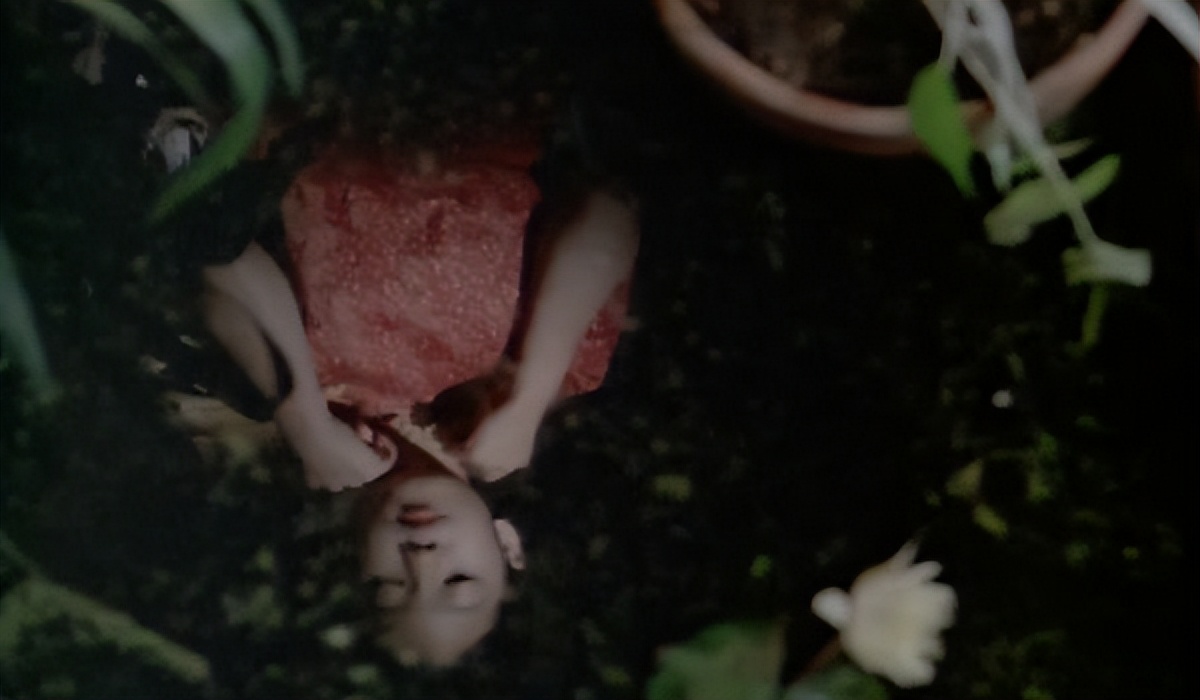 青木瓜之味电影深度解析,生活就是这样电影