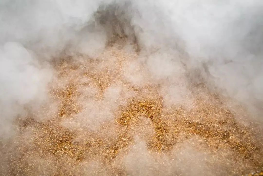 桃花春曲是什么意思,桃花春曲