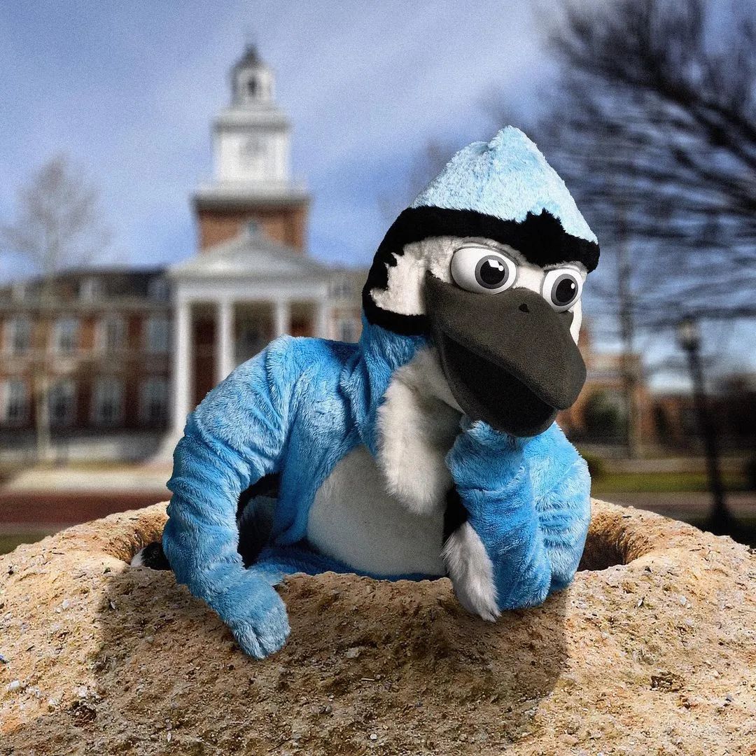 全美学习最刻苦的20所高校,美国最牛十大名校大学