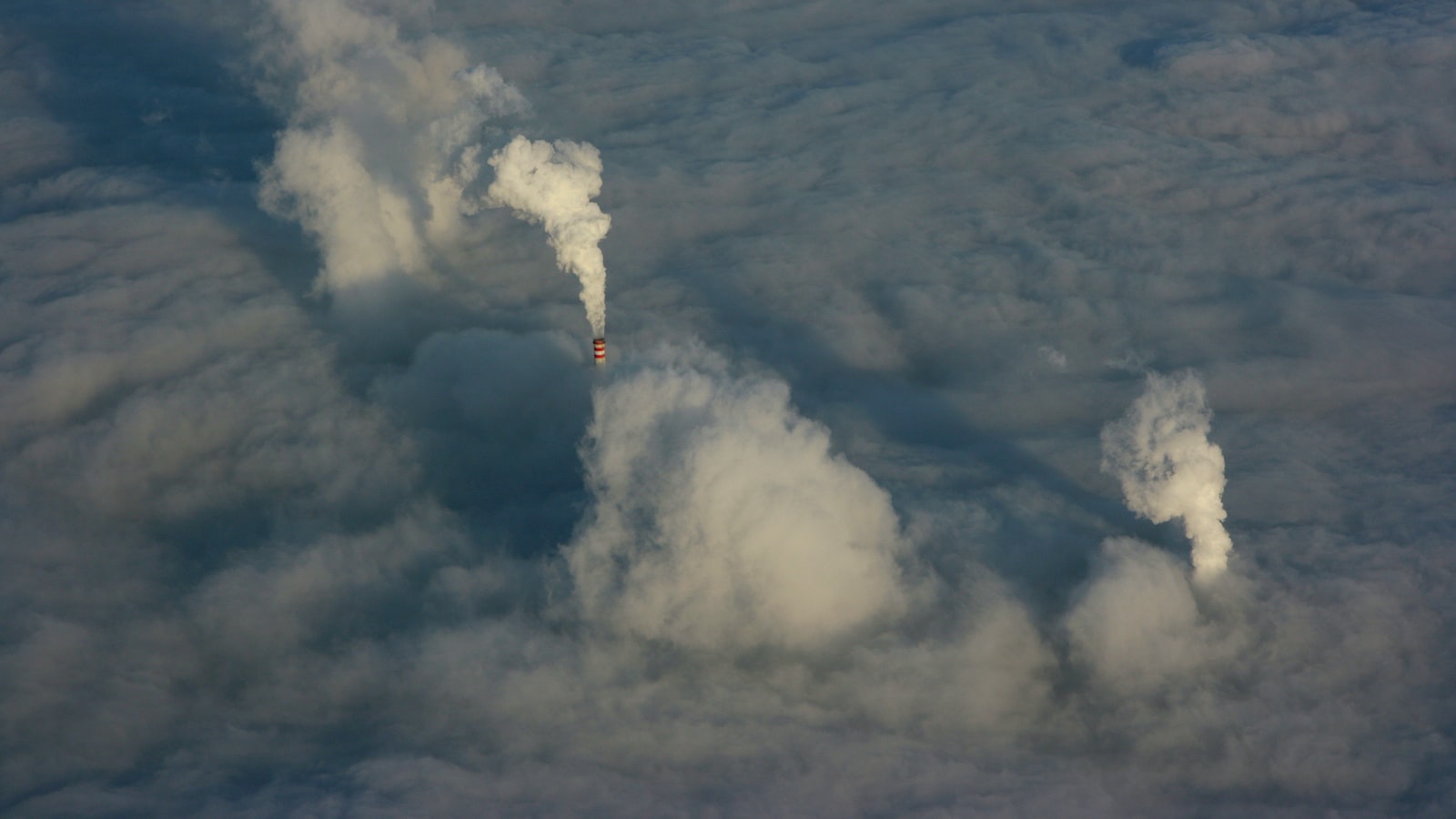 新鲜有哪几种解释,新鲜事物的利与弊