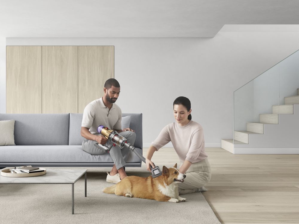 养猫过敏怎么解决,养猫过敏怎么办教你一招