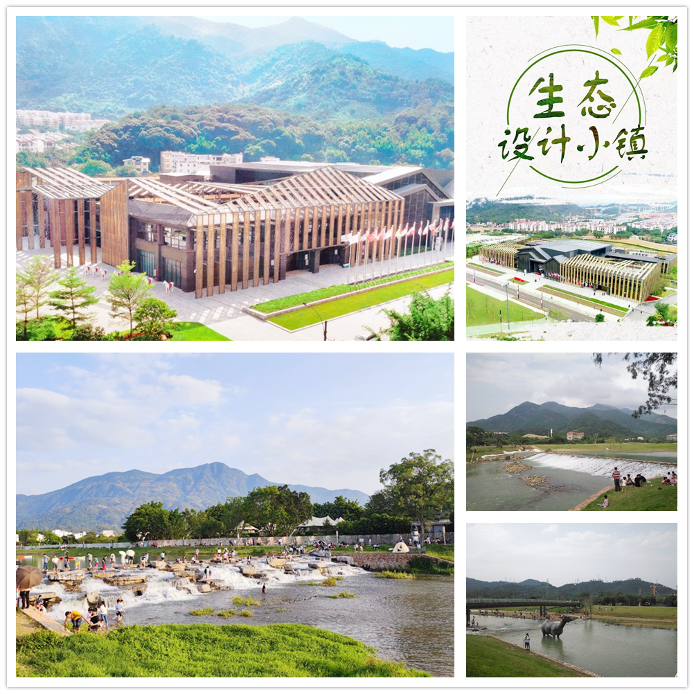 从化荔枝园采摘攻略,从化冬季旅游好去处