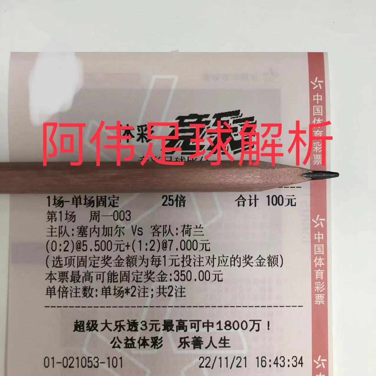 世界杯塞内加尔vs荷兰全场集锦,世界杯竞彩日本对塞内加尔