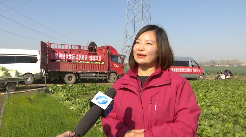 打通物流梗阻纾困滞销蔬菜,周口郸城助农扶农