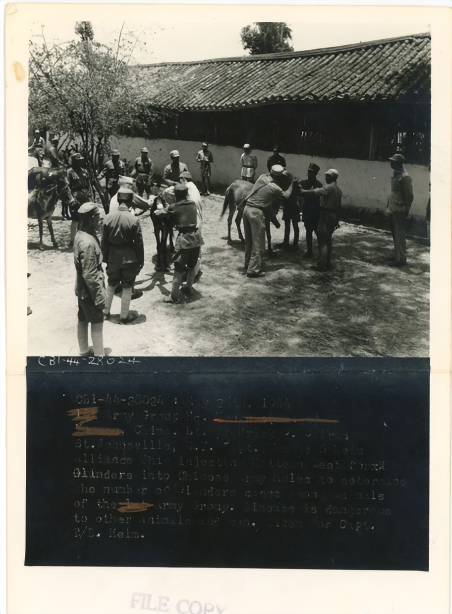 寻找马廷诲：44年后，寻回被遗忘的忠魂