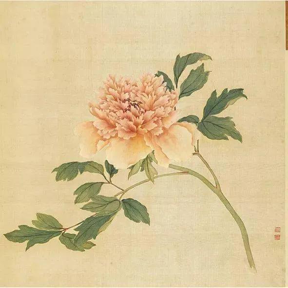 蒋廷锡牡丹画法,蒋廷锡百种牡丹画法