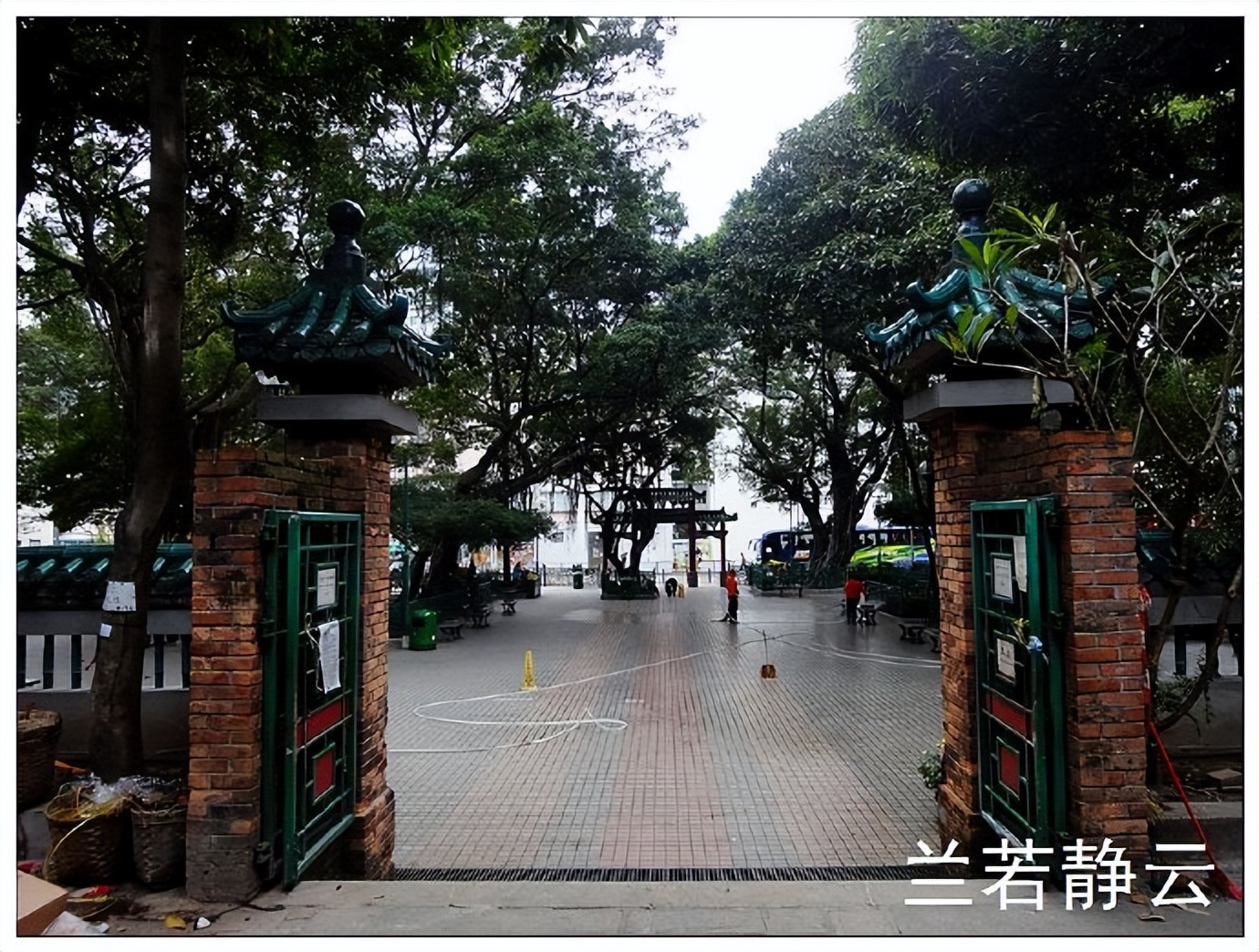 香港庙街和油麻地哪个更好玩,香港油麻地庙街视频