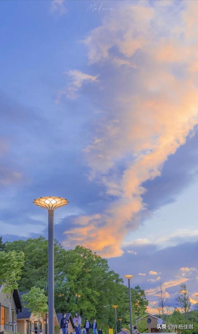 12星座智商排名,12星座性格特点漫画