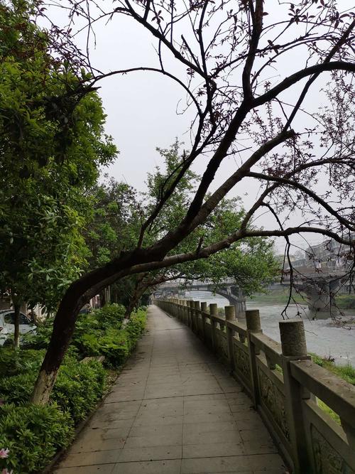 小花失去的初恋-八十年代的爱情故事-下部