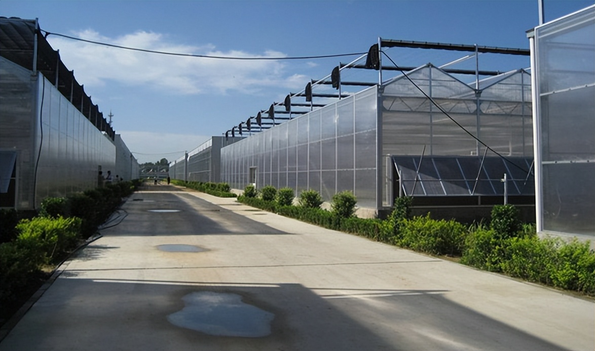 江西物联网智能温室大棚造价表,三门峡智能温室大棚造价多少钱