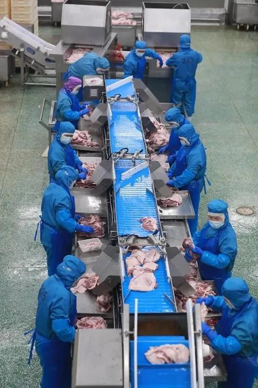 【解读中原粮仓的密码】媒体采访团走进河南华英农业股份有限公司