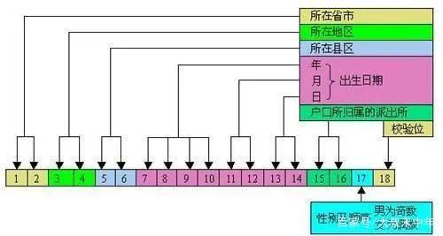 身份证上隐藏的秘密,身份证号如何部分隐藏