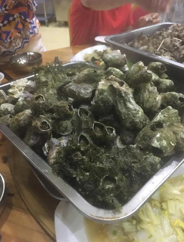 在浙江吃藤壶,还以为吞了个鬼手