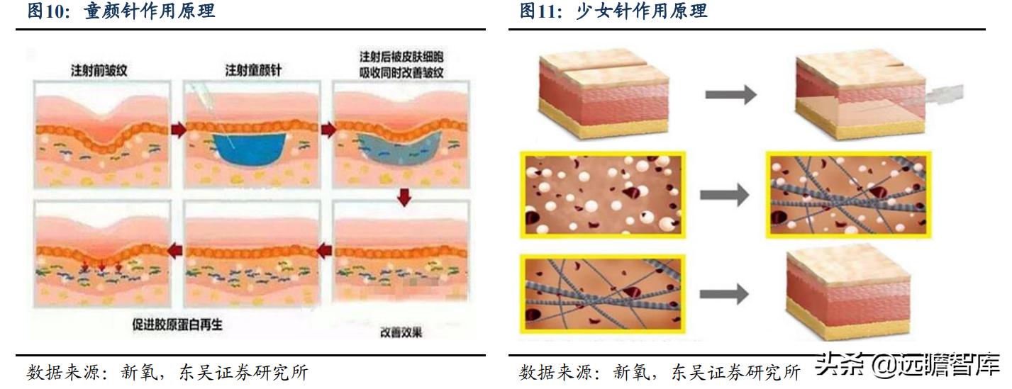 2023医美一季度业绩,q1财报逆势增长