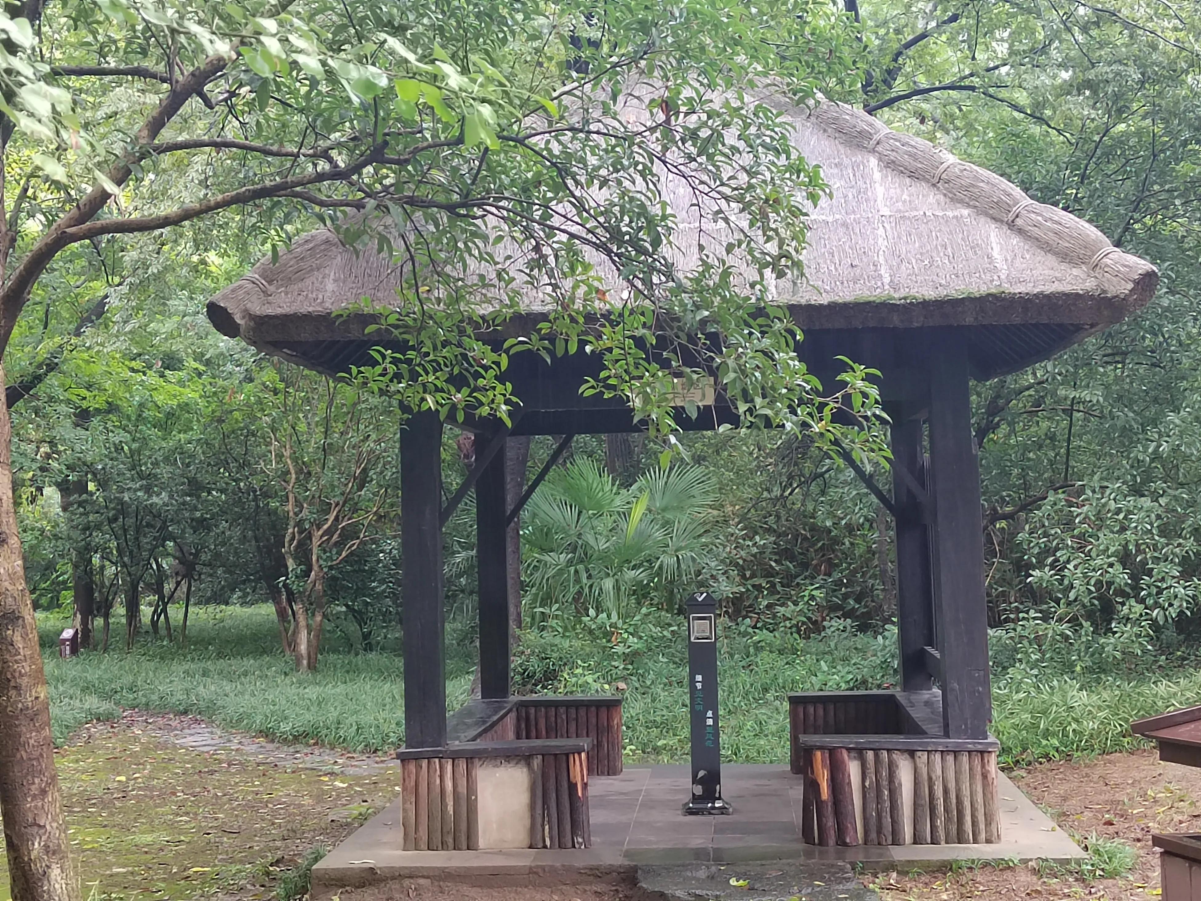 淹城是哪个省市,淹城动物园旅游攻略