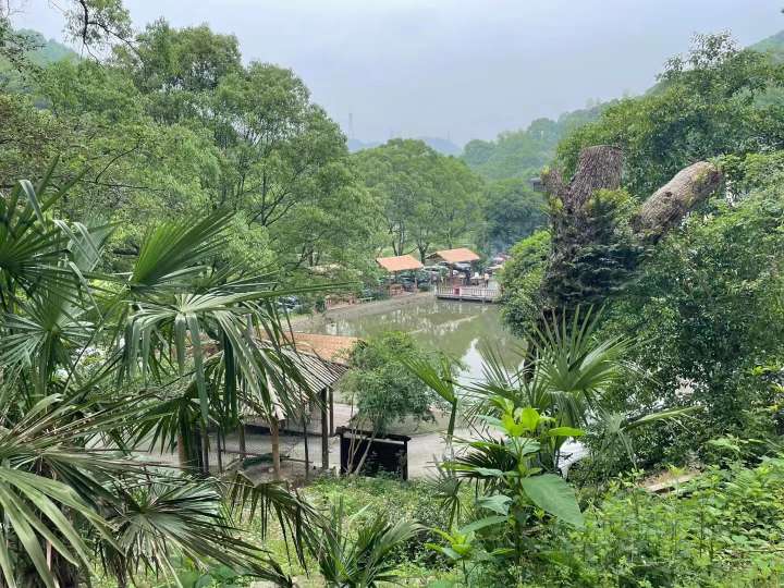 长沙黑麋峰曙光旅游农家乐,长沙黑麋峰国家森林公园农家乐