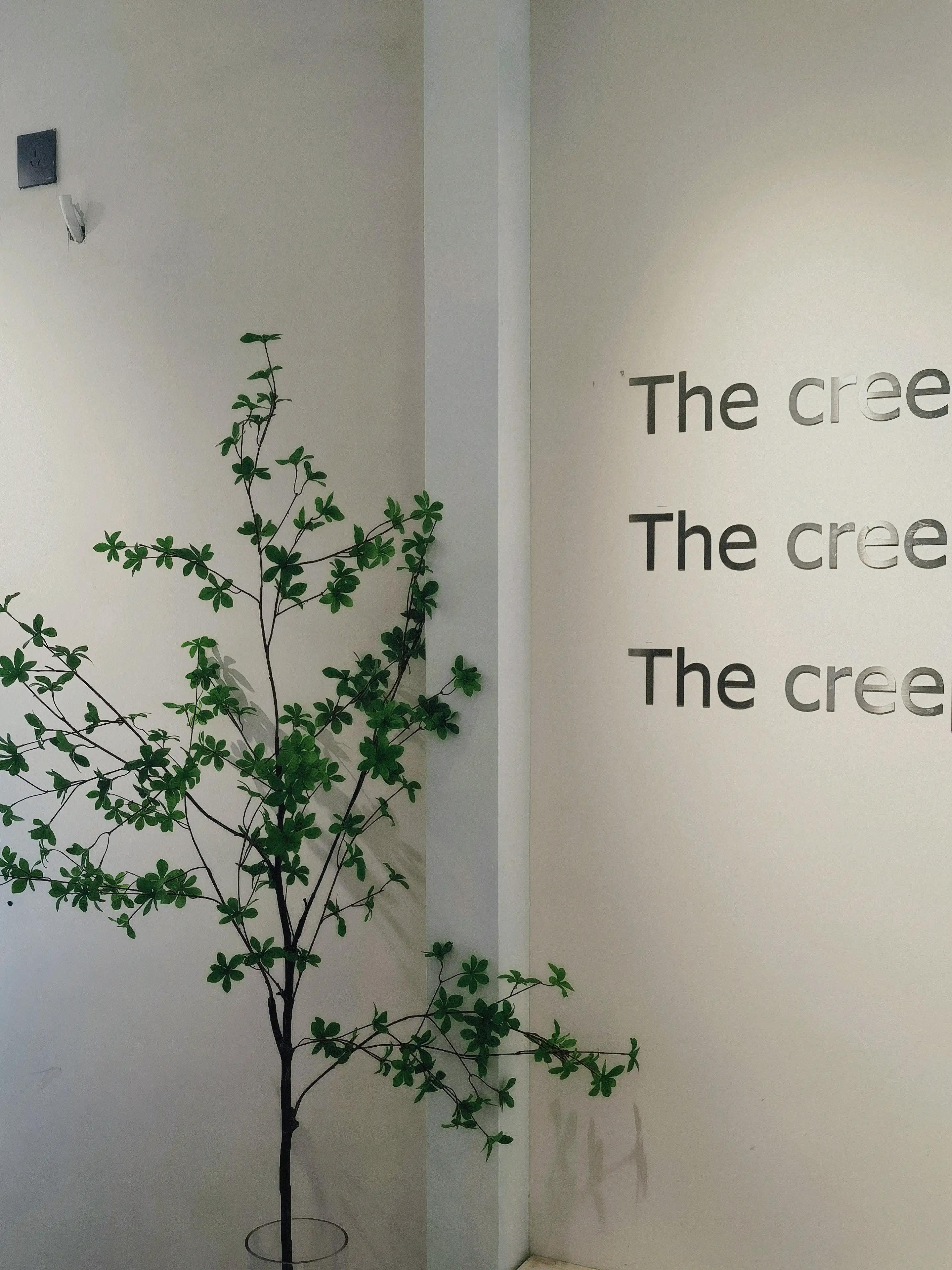 这家咖啡馆不错,新开一家超有范的咖啡店