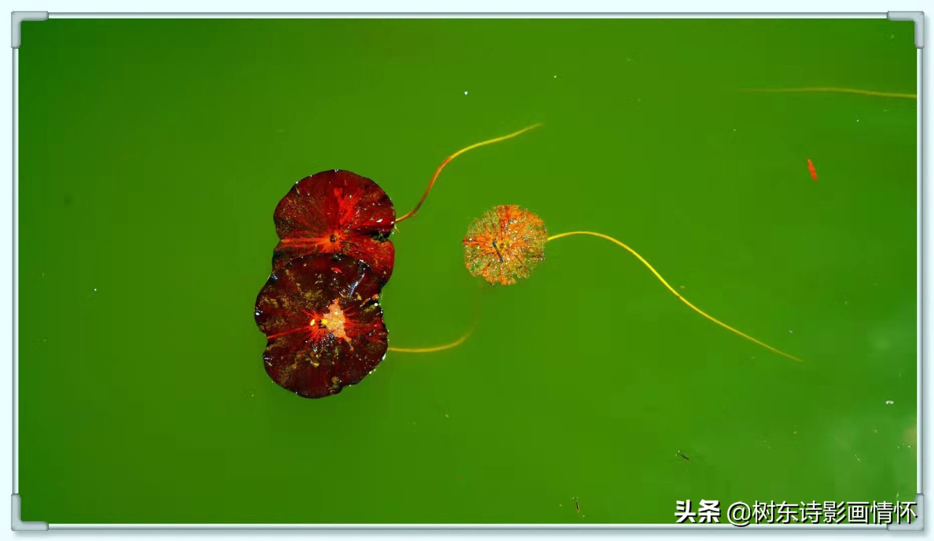 带有春的古诗名句飞花令,飞花令带春字的诗100句