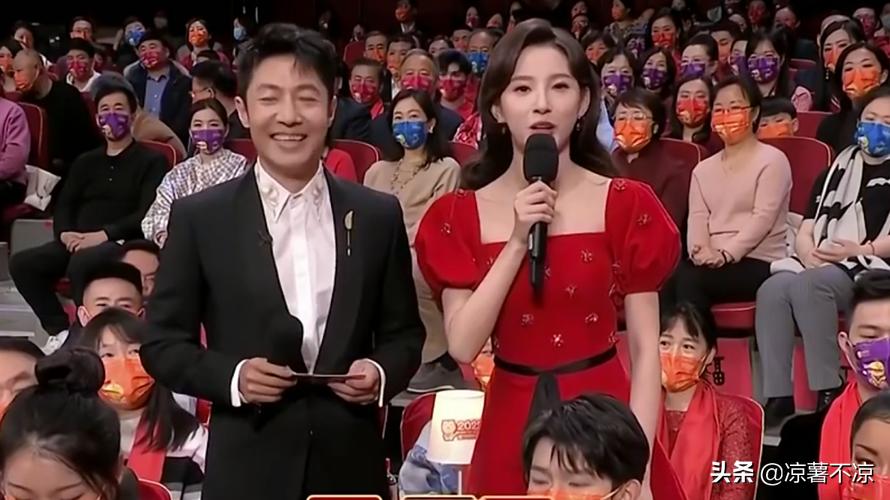 央视十大女主持至今未婚年龄多大,央视的十大著名女主持你最喜欢谁