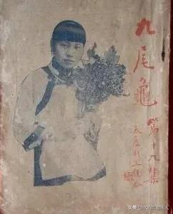 清代小说九尾龟,九尾龟小说完整版