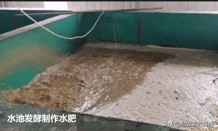 粪类肥料,复合肥鸡粪肥