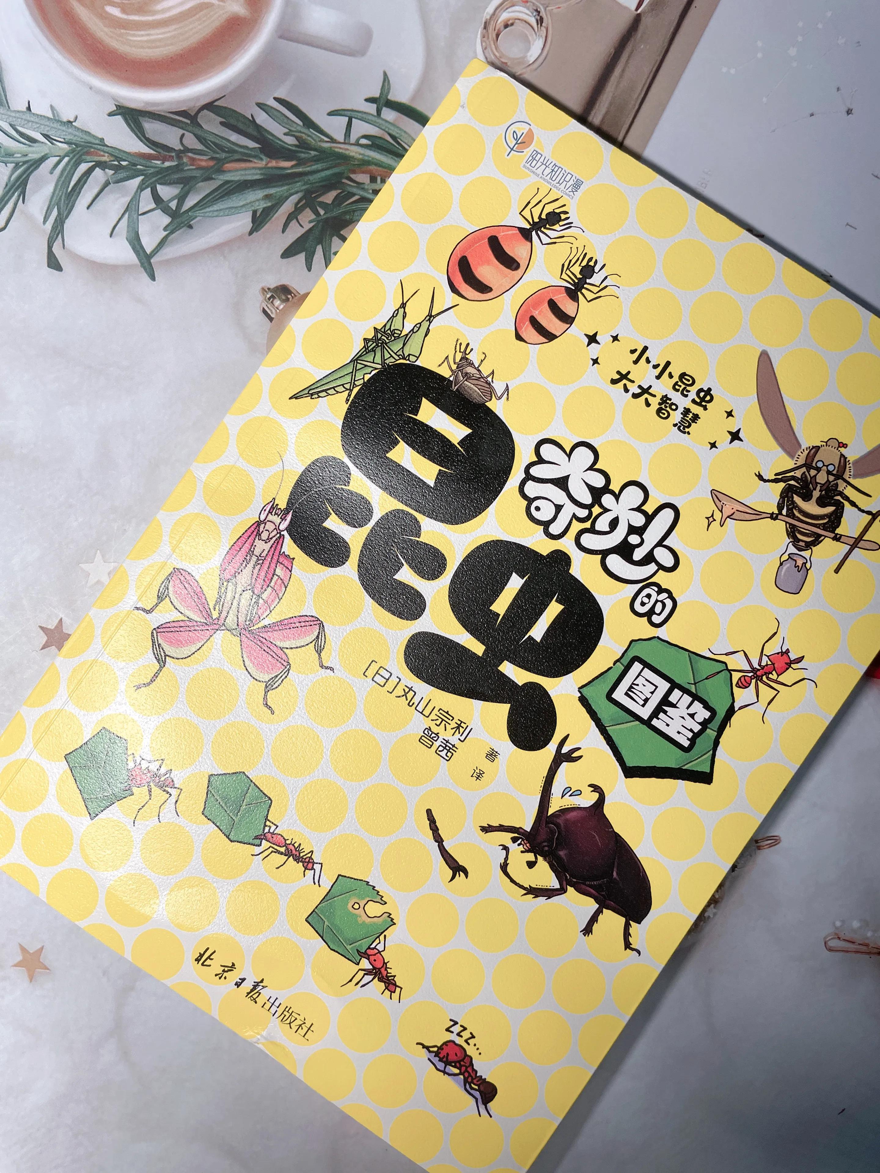 昆虫世界各种昆虫,走进奇妙的昆虫世界