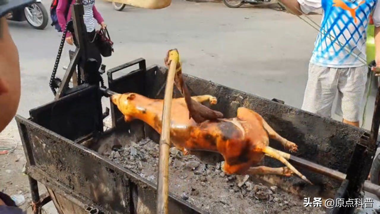 盘点广西十大奇葩美食狗肉,广西特色美食全是经典快来看看吧