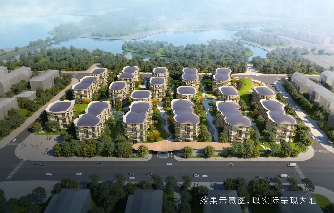 MAD带你看建业君邻大院松苑|自然，当是生活的常态