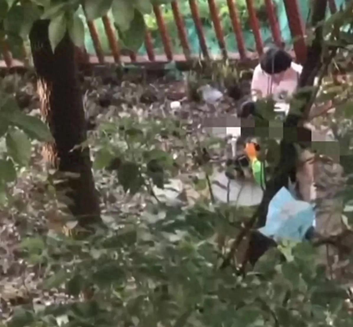 辽宁东北大学小树林事件,东北大学小树林事件