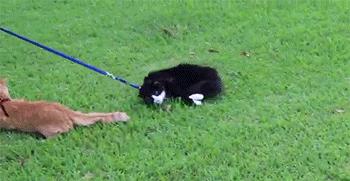 住酒店时显示已经在其他酒店入住,住酒店发现是自己几年前婚房