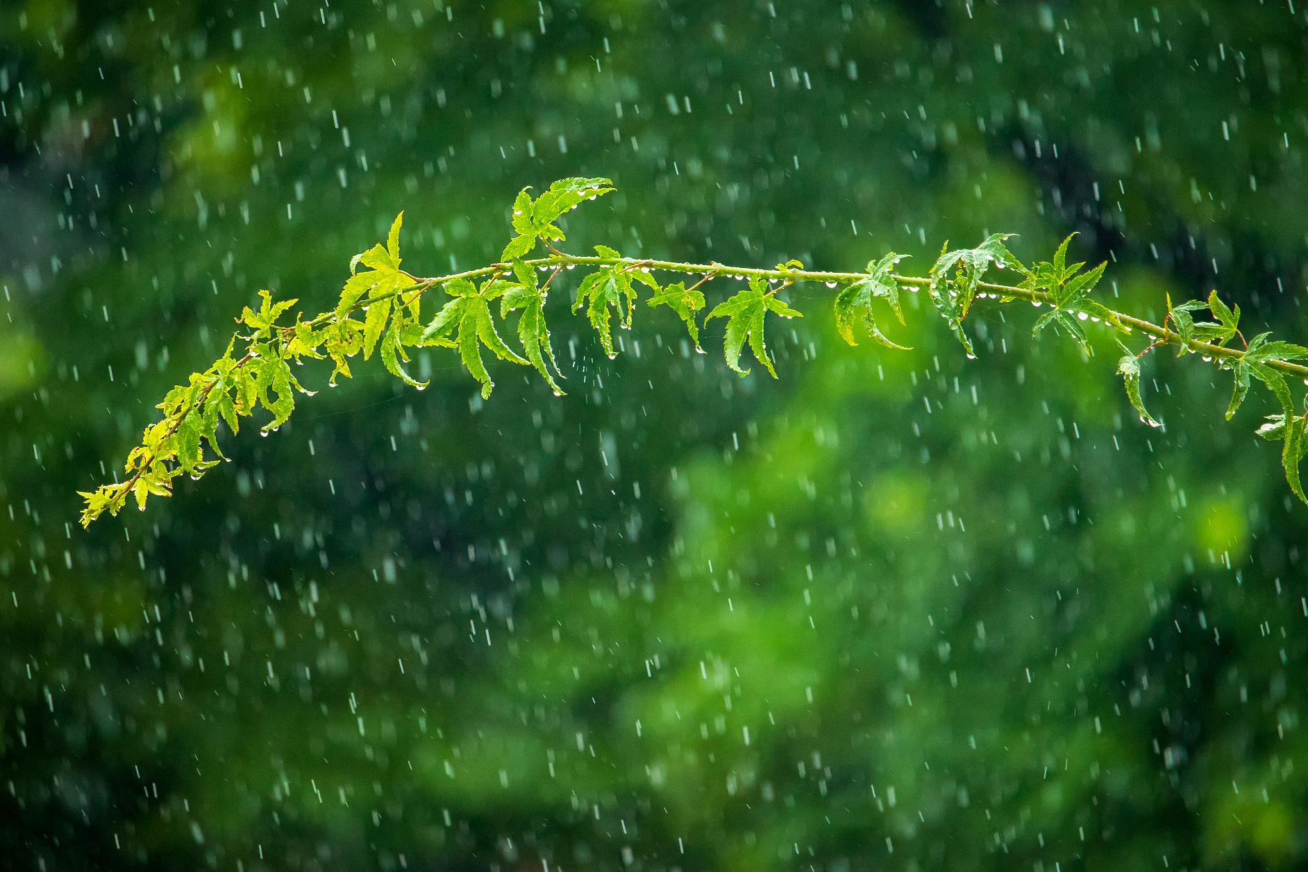 今年的黄梅雨季是哪几天,今年黄梅雨天什么时候结束
