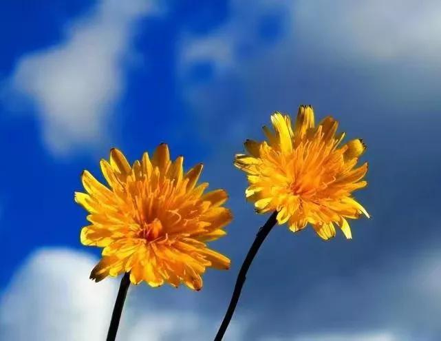 情商极低的人都是这样的,自以为情商高其实很低的人