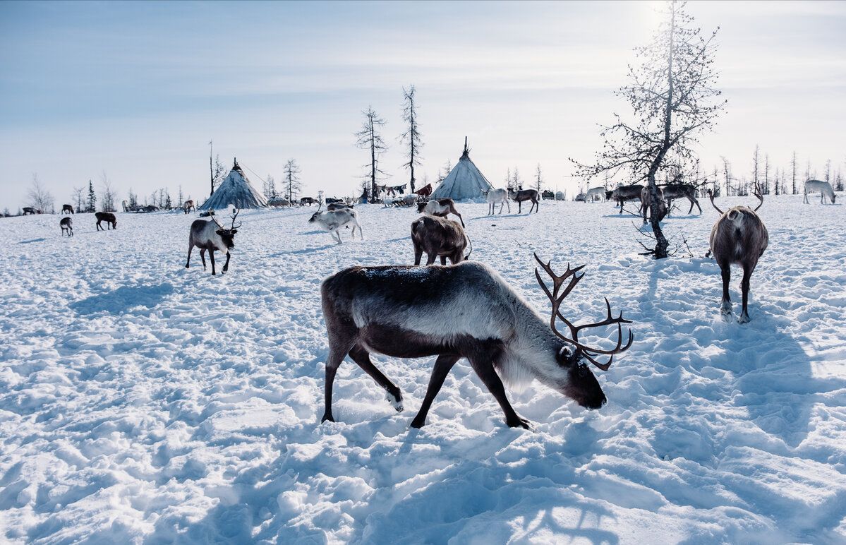 俄罗斯人的日常生活图片,俄罗斯实拍生活