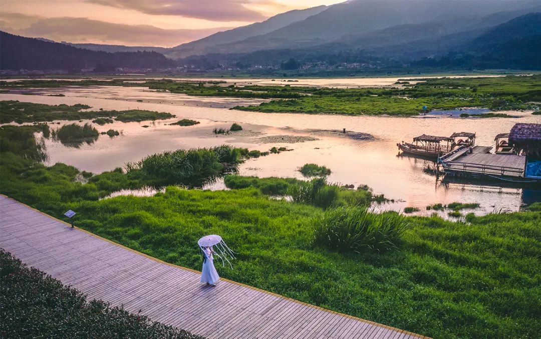 银杏谷泡温泉的地方,广东冬天赏银杏泡温泉
