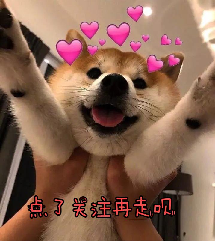 原来狗狗绝育有这么多好处,一大半你都不知道