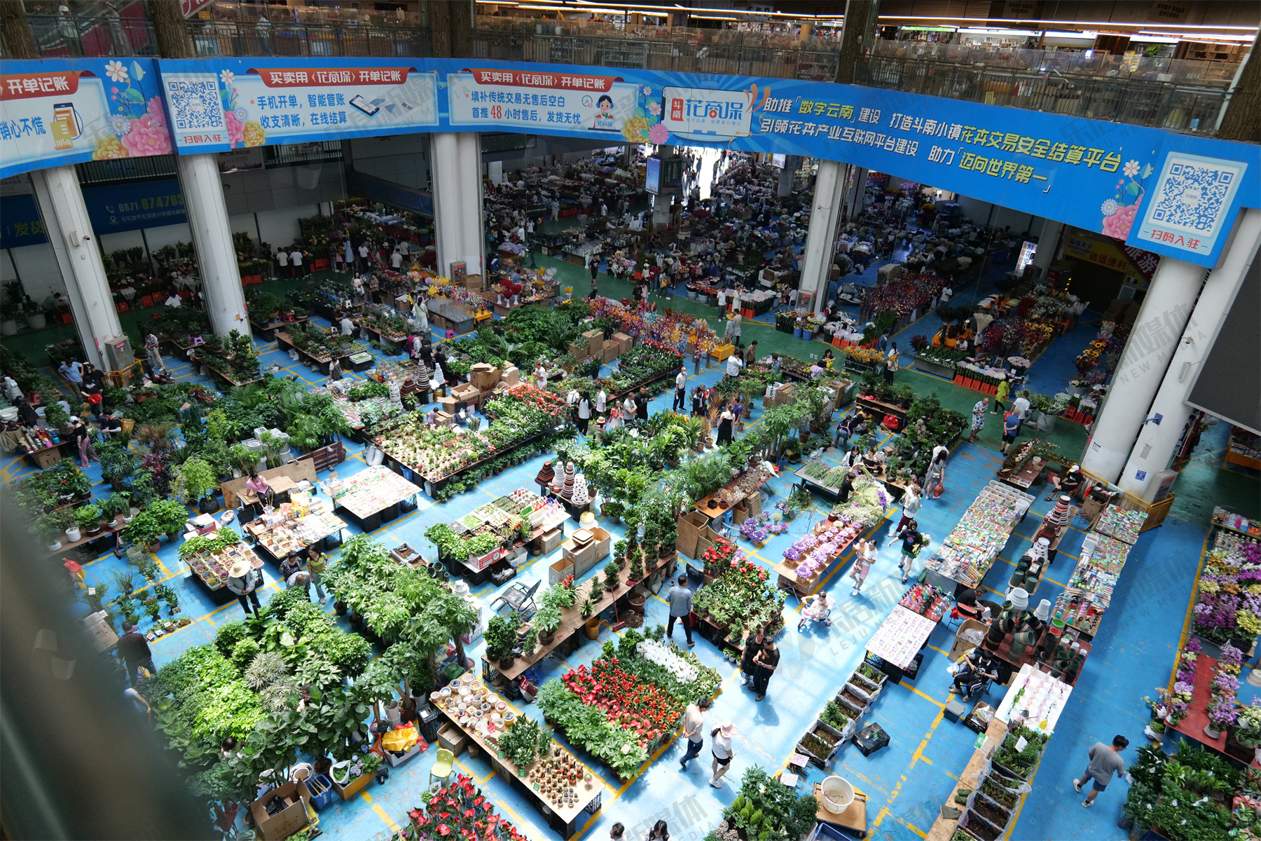 “8+2”多元化构筑品牌护城河海荣集团入昆迭新滇池想象