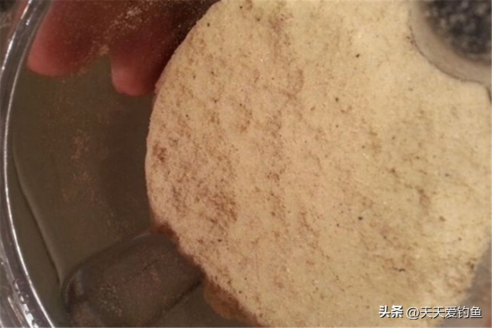 野钓不上鱼的正确方法,野钓钓不到鱼调漂最佳方法