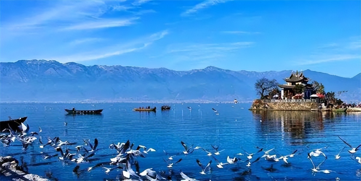 螺蛳粉被列为国家二级保护动物吗,国家二级保护动物螺蛳粉